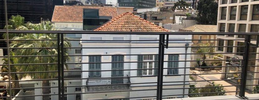 Real Estate Tel Aviv luxury penthouse