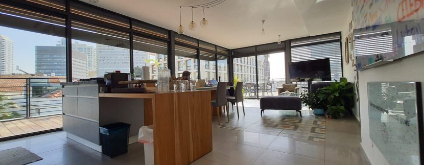 ECLECTIC PENTHOUSE tel aviv