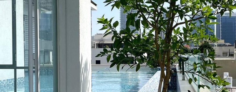 Luxury penthouse with private swimming pool tel aviv