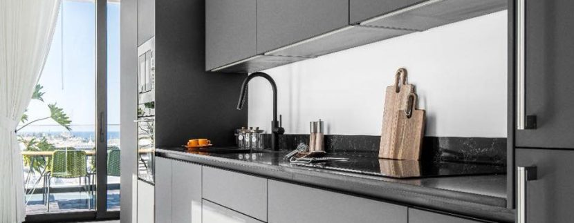 Stylish Duplex Penthouse in Florentine for sale
