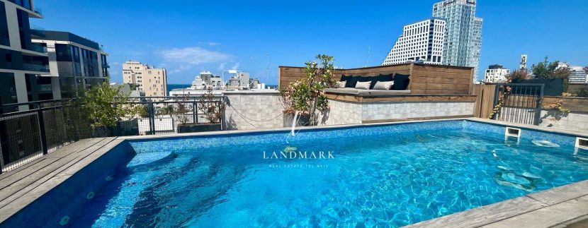 Luxury Penthouse with private swimming pool tel aviv