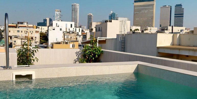 Luxury Penthouse with private swimming pool tel aviv