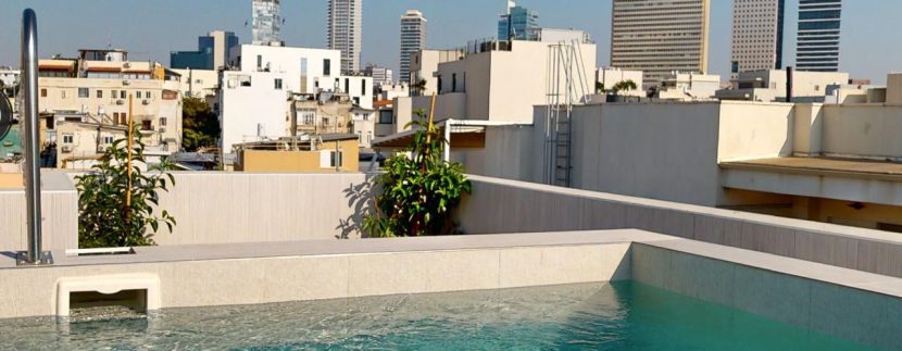 Luxury Penthouse with private swimming pool tel aviv