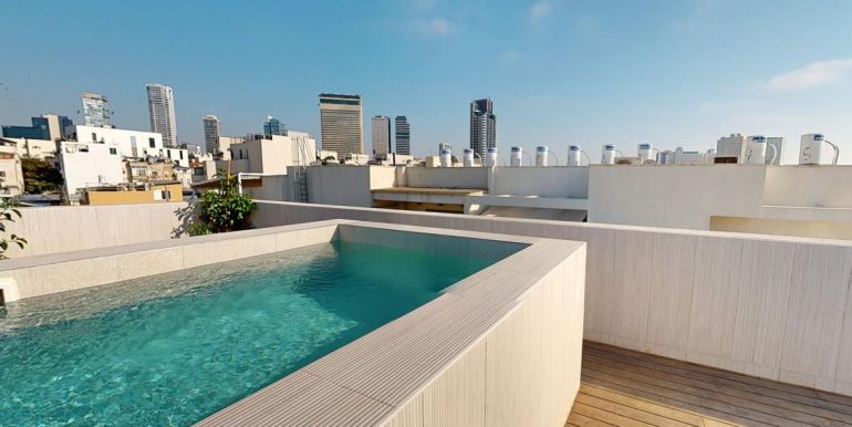 Luxury Penthouse with private swimming pool tel aviv