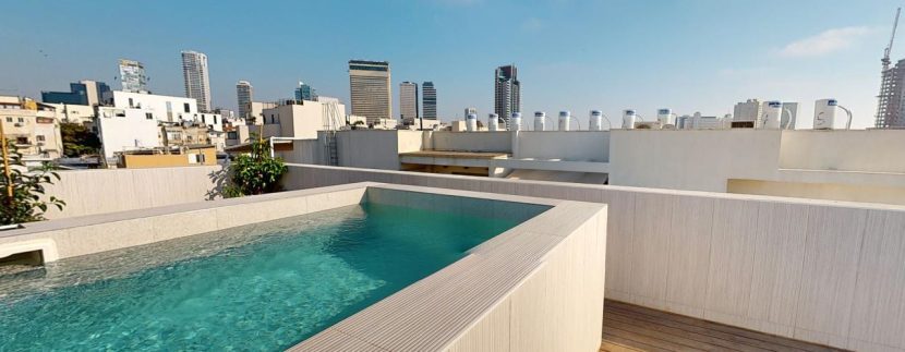 Luxury Penthouse with private swimming pool tel aviv